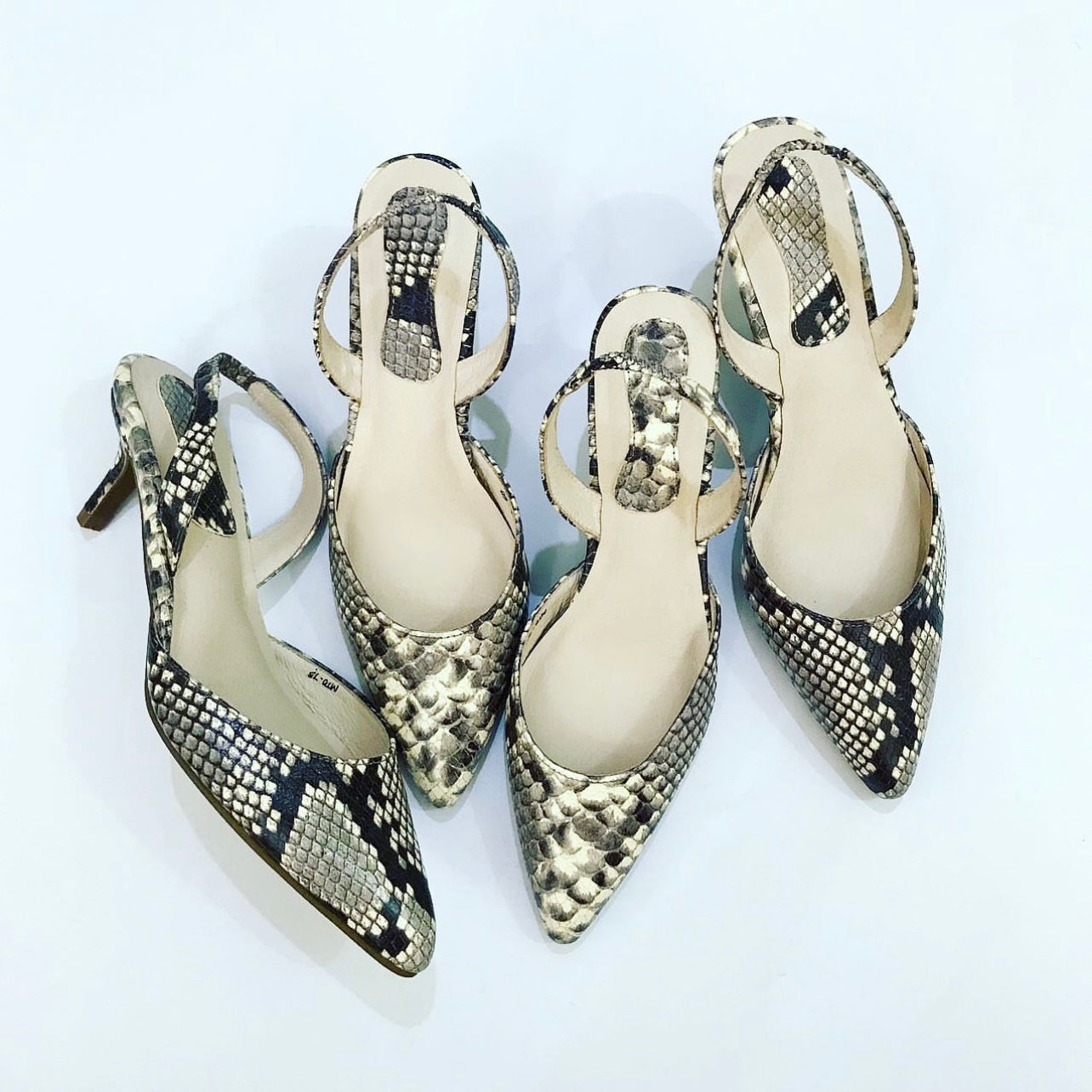 Animal Print Mules