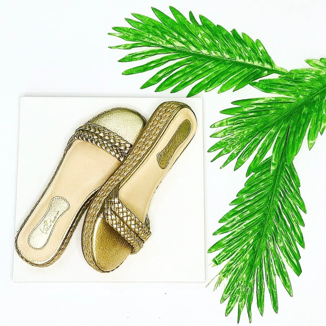 Braided Wedges