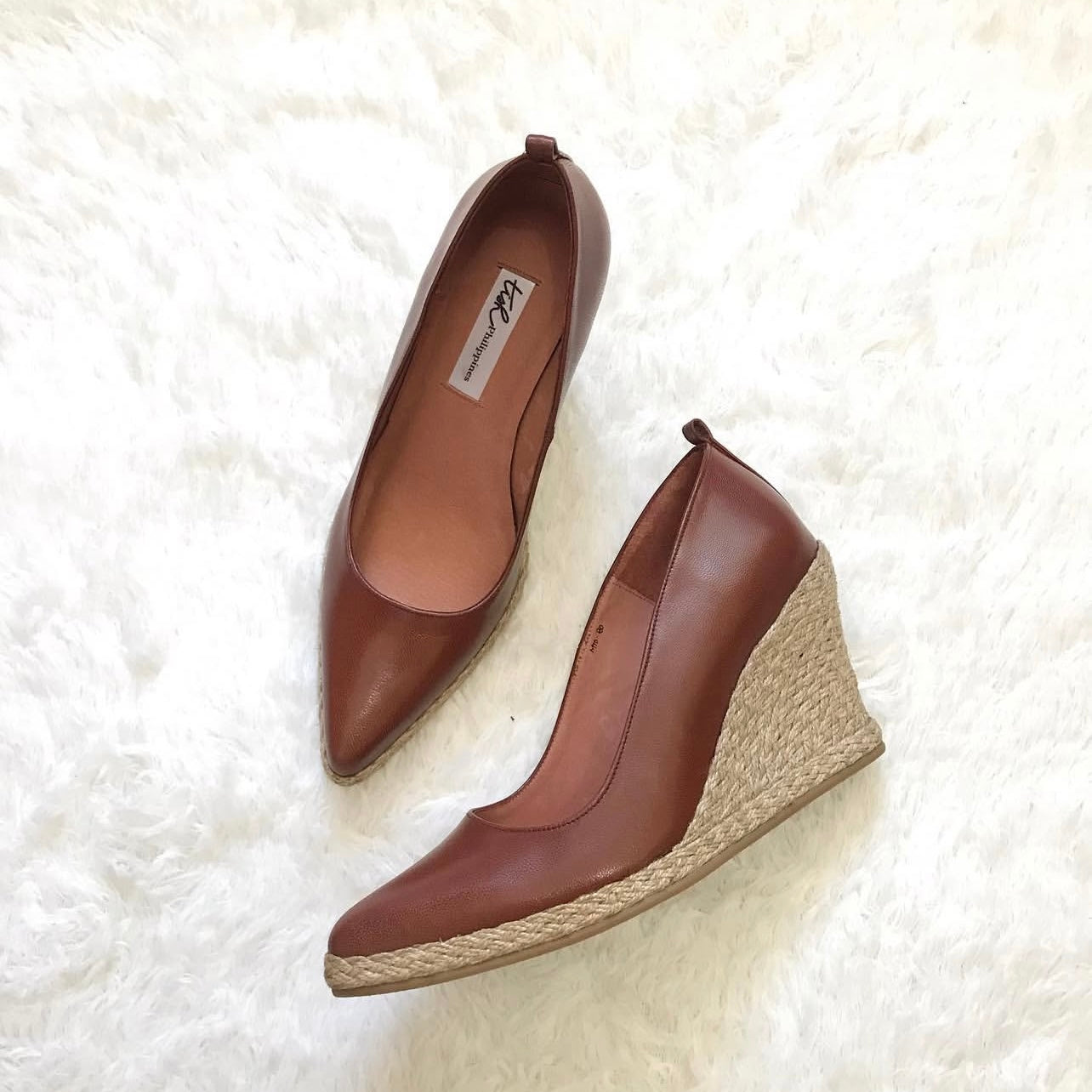 Wedge Pumps